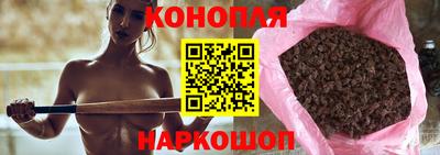 спиды Камышлов
