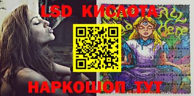 спиды Камышлов